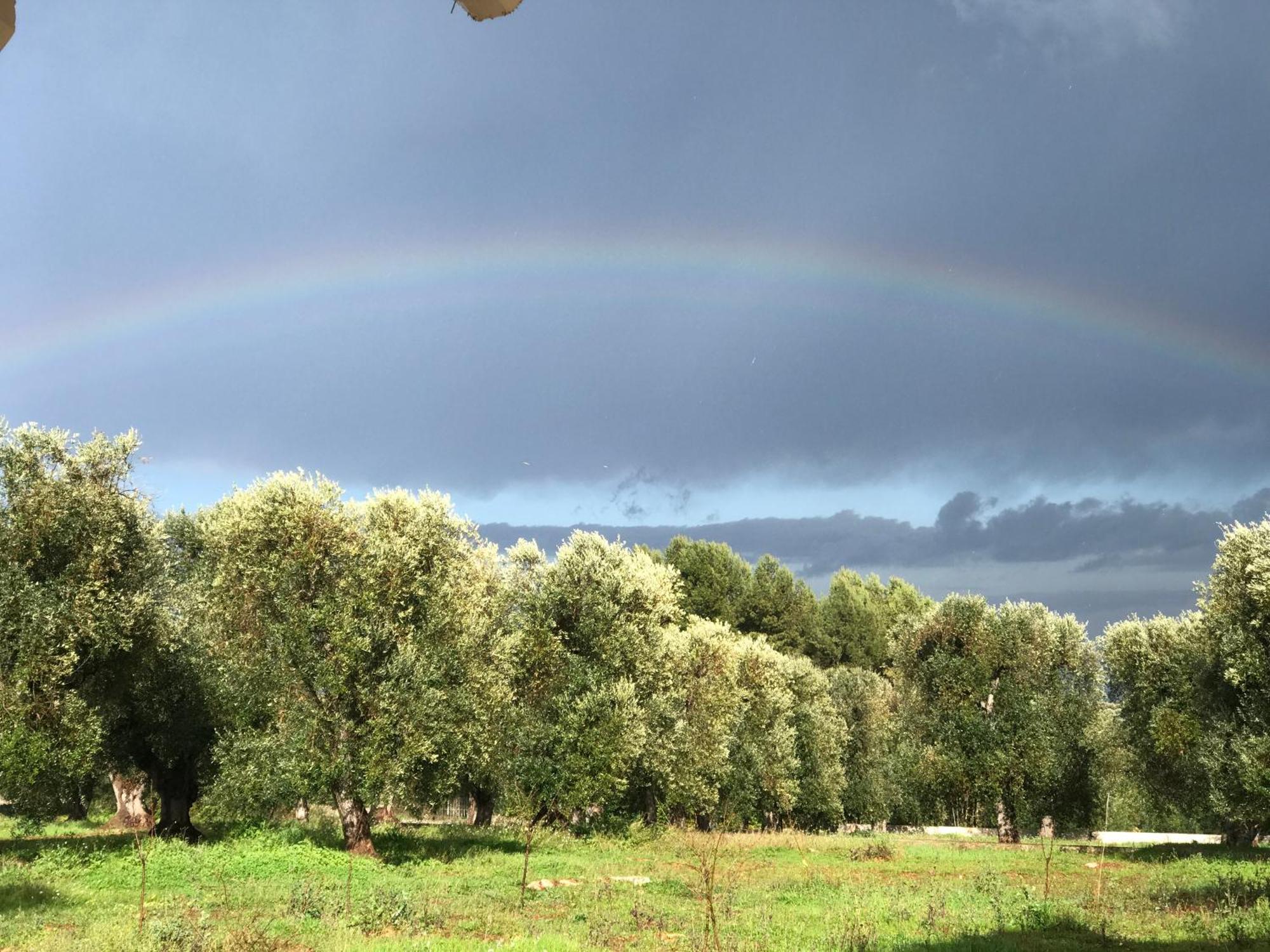 Tenuta La Pomona Ostuni Exteriér fotografie