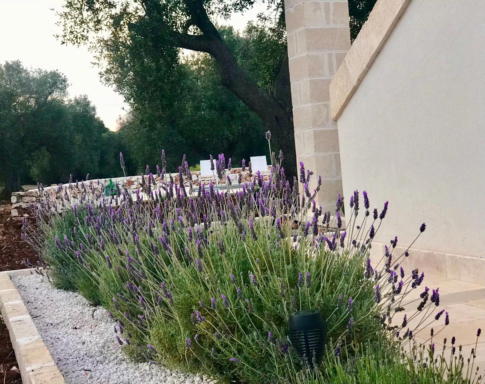 Tenuta La Pomona Ostuni Exteriér fotografie
